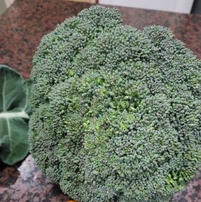 broccoli